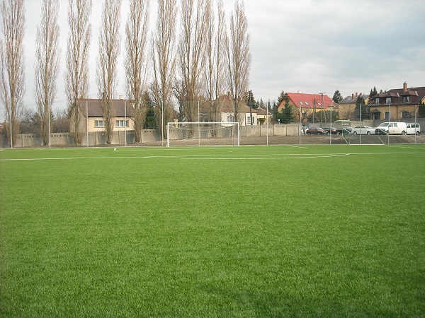 Élőfüves sportpálya